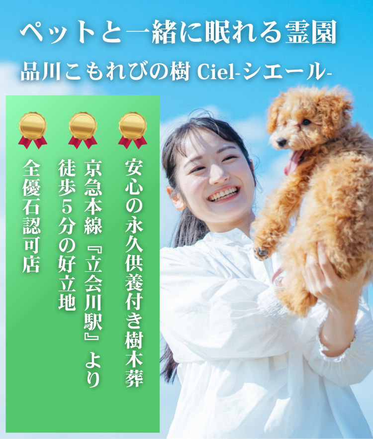 品川こもれびの樹 ciel-シエル-の特徴