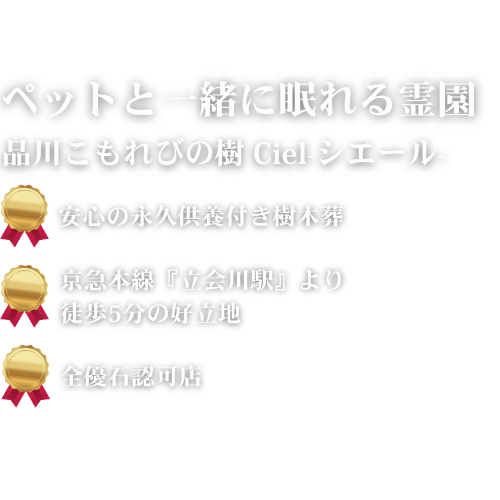 品川こもれびの樹 ciel-シエル-の特徴